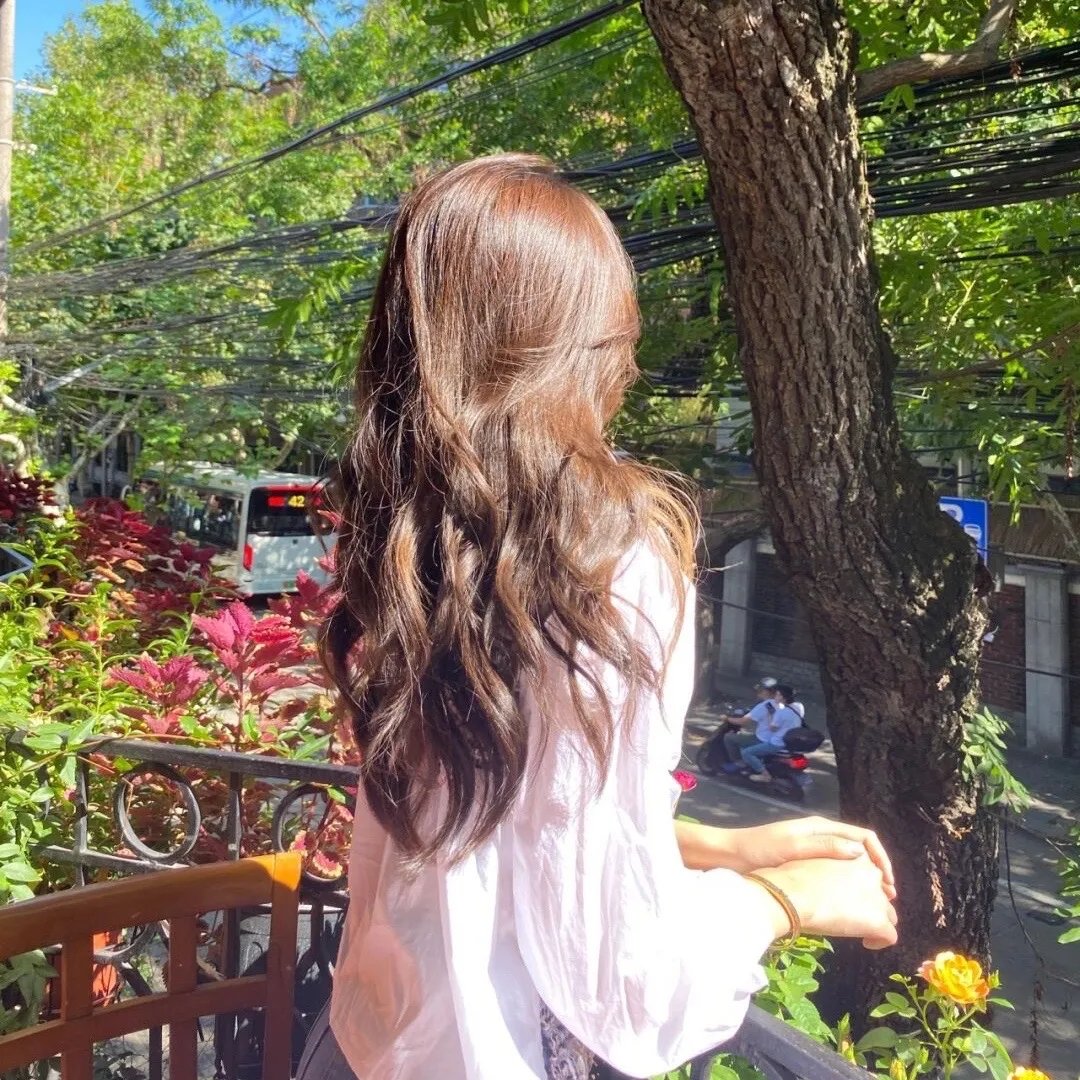 本草药王粤语