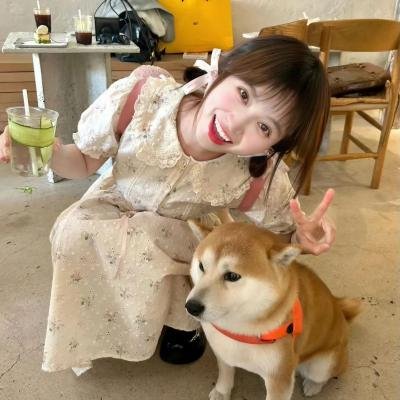 白宫效应